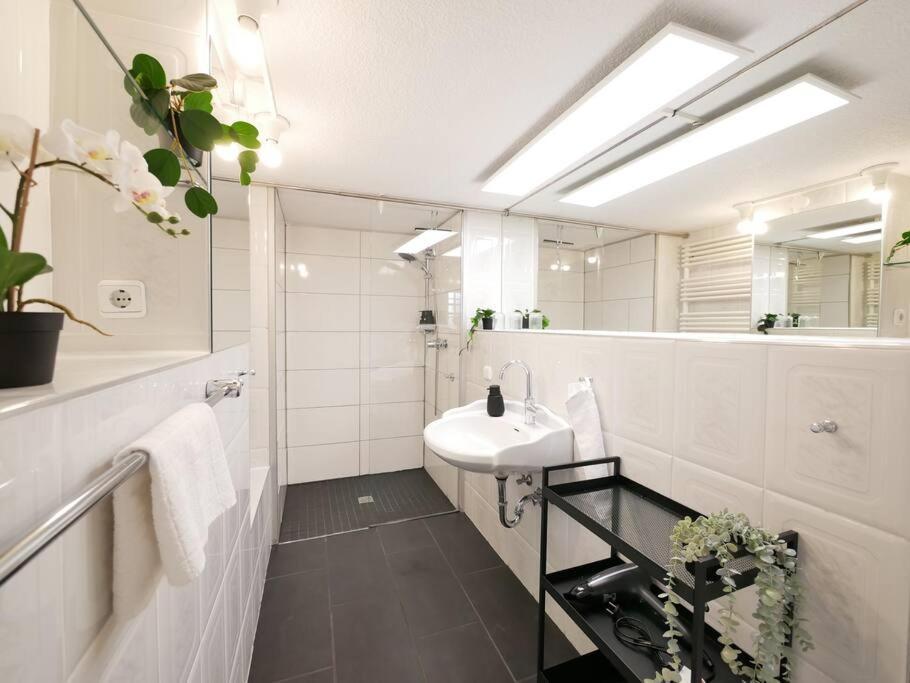 110 M2, Dachterrasse, Kueche, Zentral, Ruhige Lage Apartman Paderborn Kültér fotó